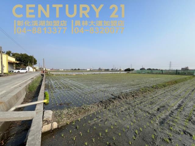 竹塘農地-2