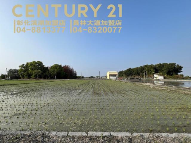 竹塘農地-4