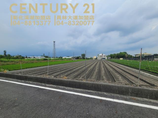 田尾農地-6