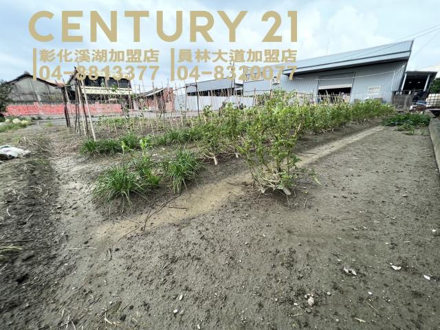 埔鹽農地-1
