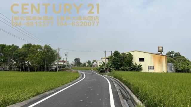 埔心農地-2
