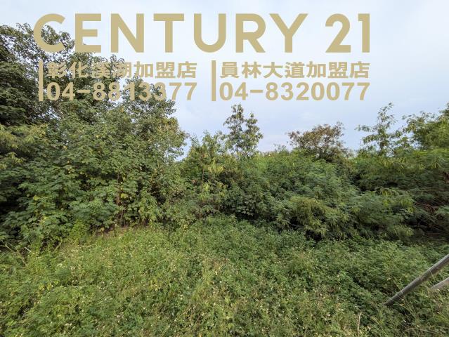田中建地-0