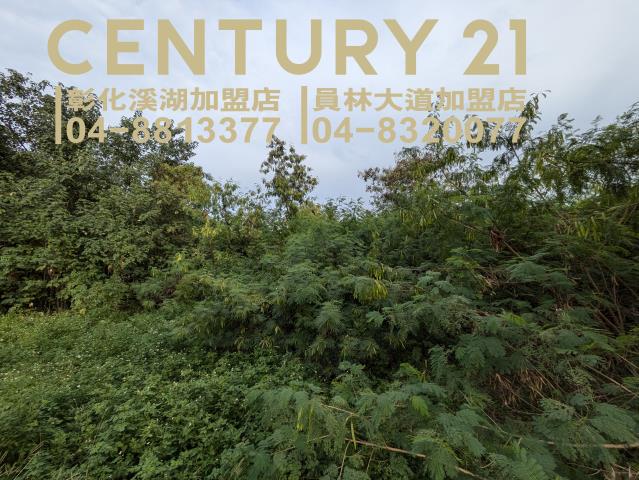 田中建地-5