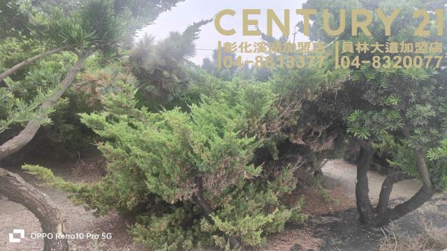 福興農地-2