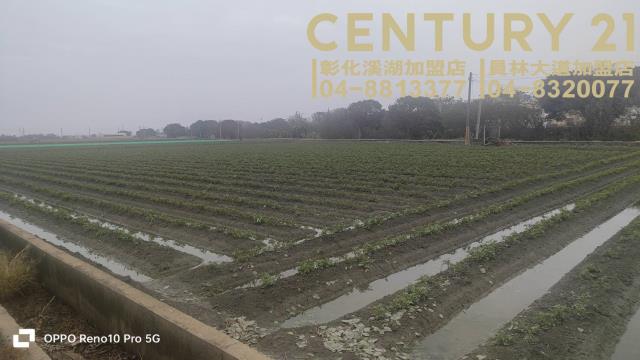 福興農地-4