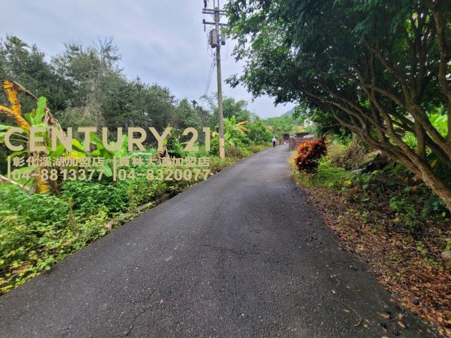 竹山農地-7