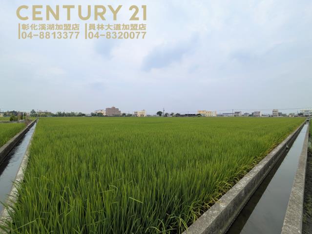 秀水農地-3