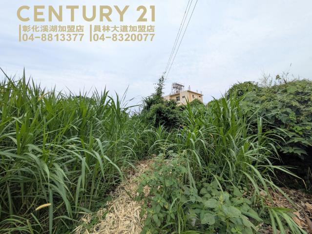 彰化農地-5