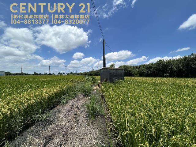 埤頭農地-5