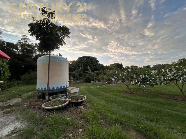 員林農地-3