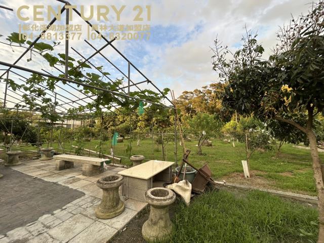 員林農地-4