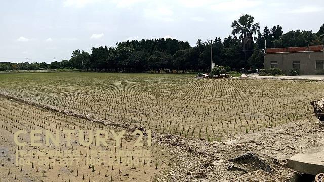 埔鹽農地-2