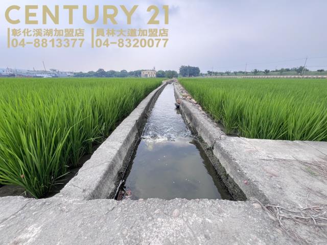 烏日農地-4