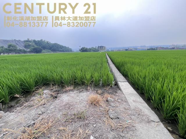 烏日農地-5