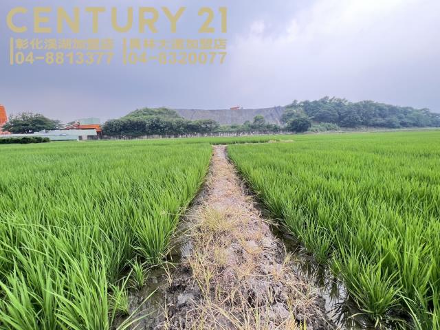 烏日農地-0