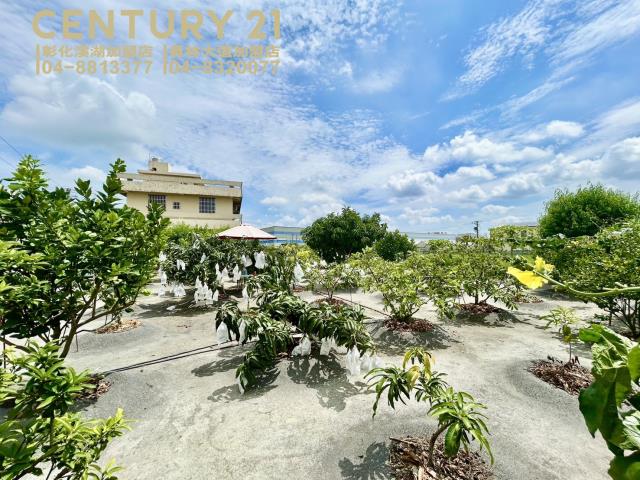 彰化大村農地-0